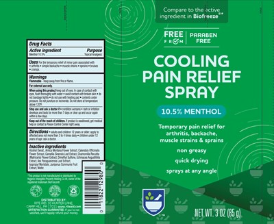 Label (Rite Aid Cooling Pain Relief Spray)